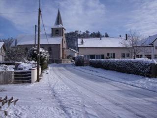 Gîte cozy au cœur des Vosges : terrasse, jardin, proche Gérardmer, animaux bienvenus - FR-1-589-76 - 8
