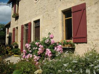 Maison du XVe restaurée avec cheminée, jardin clos et bar privé - FR-1-410-127 - Crannes-en-Champagne - 0