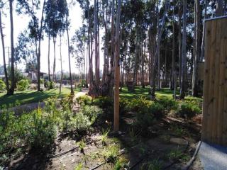 Hermoso departamento residencial con amenities - Algarrobo - 4