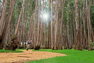 Arriendo Departamento Nuevo, Algarrobo Norte - 6