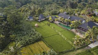 Pinggala Villa Ubud - Gianyar - 3
