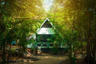 La La Land Resort Goa by Spicy Mango - Palolem - 7
