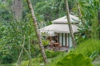 Galalima Glamping by AGATA - Tabanan - 8