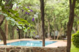 Woodlands Lilongwe - Lilongwe - 6