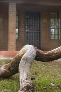 Woodlands Lilongwe - Lilongwe - 5