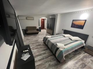 Pensiunea Luisa - Craiova - 8