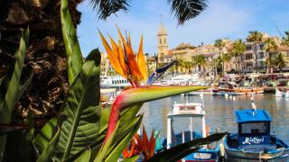 LES BAUX 2 Sanary sur mer - Sanary-sur-Mer - 1