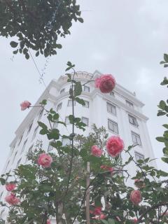 Lotus Hotel & Apartment - Hai Phong - 8