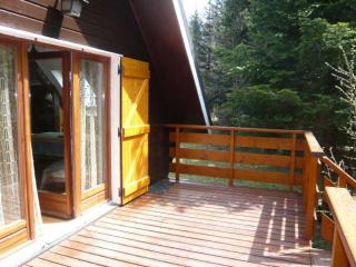 Chalet Authentique Proche Pistes et Randonnées - FR-1-515-55 - Corrençon-en-Vercors - 8