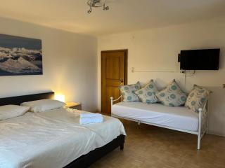 Woodyard 1 and 2 - Two apartments available - Piesendorf - 3