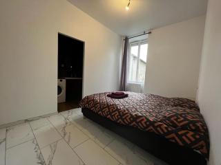 Bel appartement en centre ville de Limoges - Limoges - 2