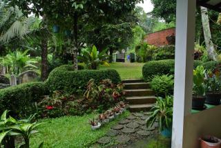 Villa (Entire) Teddy 6500m2 land@Gadog 650m above sea level. - Gadok 1 - 5