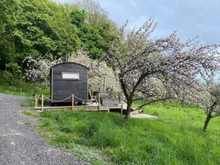 Orchard retreat off grid shepherds huts in Dorset - Dorchester - 4