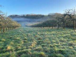 Orchard retreat off grid shepherds huts in Dorset - 7
