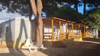 Chalet Home - Camping River Village - 332 - Ameglia - Ameglia - 5