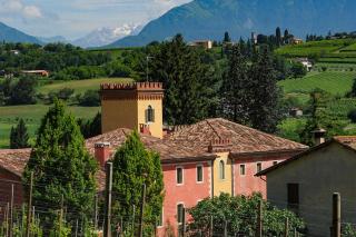 Villa Clementina - Prosecco Country Hotel - 7