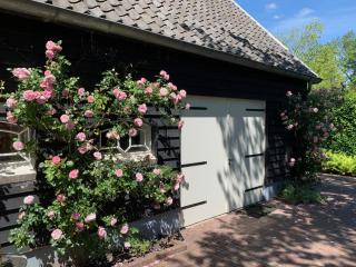 De Porrel Polsbroek Unit met Privé Jacuzzi, Spa en Sauna - Polsbroek - 5