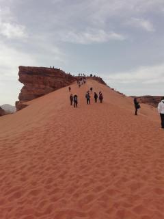 Wadi rum desert sky - Wadi Rum - 9
