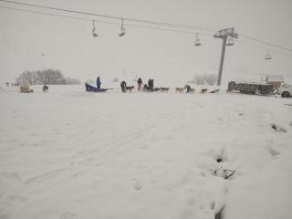 Appartement la Toussuire - 6 personnes - 1