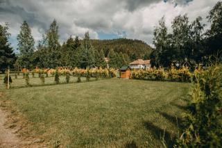 Pensiune și Camping Patru - Gheorgheni - Gheorgheni - 2