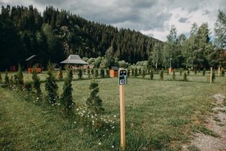 Pensiune și Camping Patru - Gheorgheni - Gheorgheni - 3
