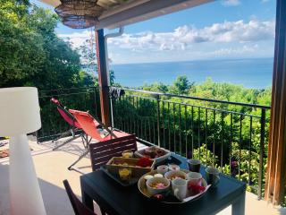 Magnifique Villa Bauhinia, Piscine vue mer - Sainte-Luce - 2