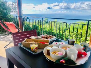 Magnifique Villa Bauhinia, Piscine vue mer - Sainte-Luce - 3