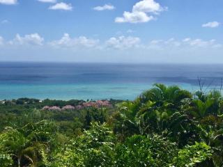 Magnifique Villa Bauhinia, Piscine vue mer - Sainte-Luce - 8