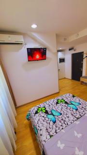 Imob Bibi House Calea Victoriei - Bucarest - 3