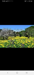 D'ALTRITEMPI-Elegance in Cianciana. - 6
