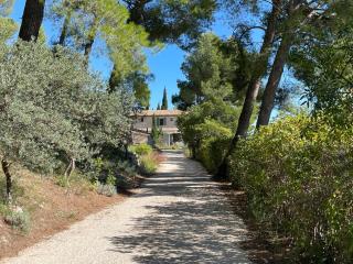 Le Mas Angelou - Maussane les Alpilles - 7