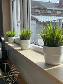 Central area entire terrace house - Lincoln - 1