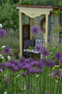 Märchenherberge 7 Zwerge - 3