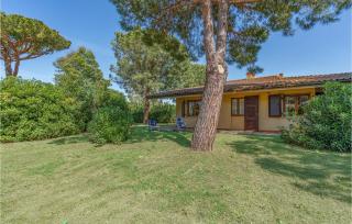 Cormorano - 5