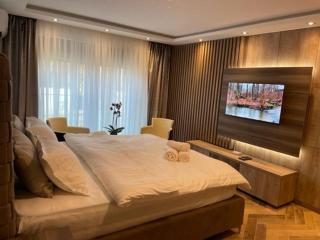 Perla Lux apartmani - Inđija - 1