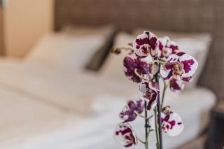 Perla Lux apartmani - 4