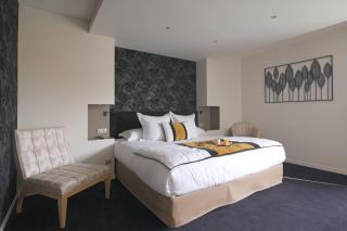 Les Suites - Konine 4 - Hotel & Bar & Restaurant - Montceau-les-Mines - 8