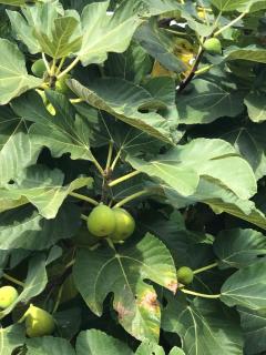 La casa di Michela - 2