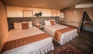 Vichayito Bungalows & Carpas by Aranwa Hotels - Vichayito - 8