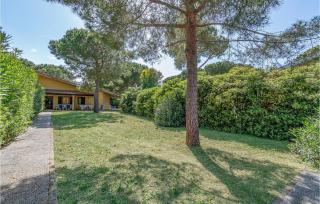 Cormorano 2 - 3