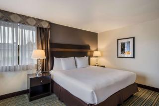 Best Western Alderwood - Lynnwood - 5