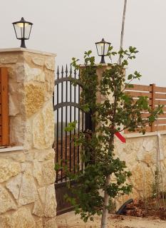 Villa Reefna - ‘Isfiyā - 8