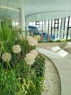 SPA Polanki AQUA Nemo Apartamenty Kołobrzeg - 1