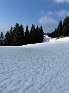 Ferienwohnung Lilli inklusive Bad Hindelang Plus - 1