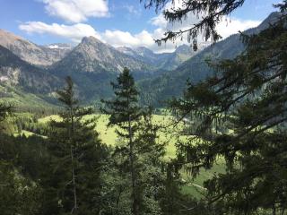 Ferienwohnung Lilli inklusive Bad Hindelang Plus - 2