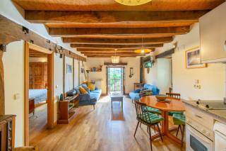 Casa Monaut, acogedores apartamentos a los pies de la selva de Irati - Saragüeta - 1