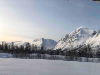 Mountainside Lodge - Breivikeidet - Tromsø - 2