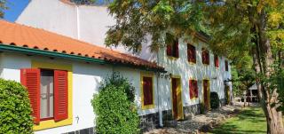 Quinta Flores - Ferreira do Zêzere - 2