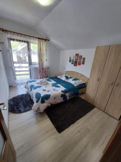 Casa Daria - Statiunea Borsa - 3