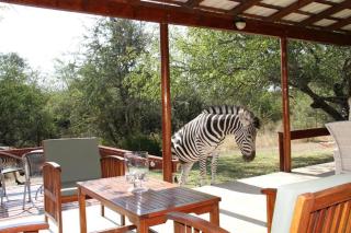 Turaco Lodge - No Loadshedding - Marloth Park - 0